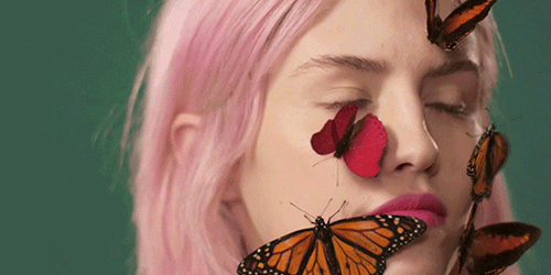 cinemagraph7